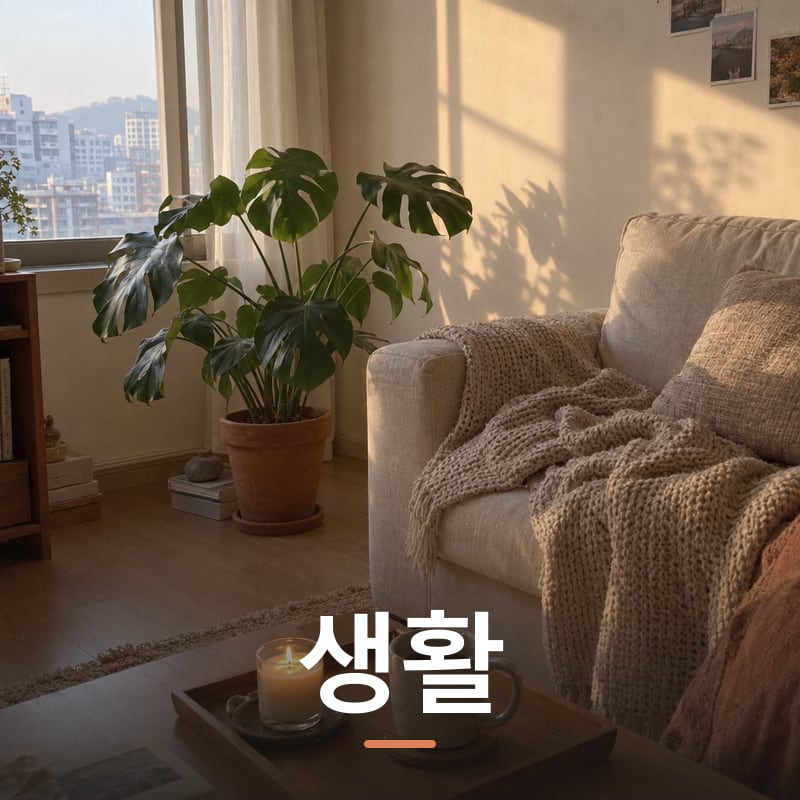 생활 체험단