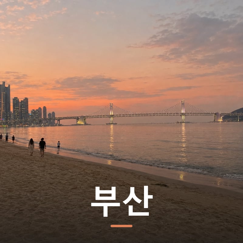 부산 디지털 체험단