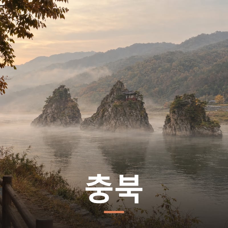 충북 체험단