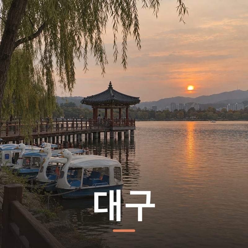 대구 디지털 체험단