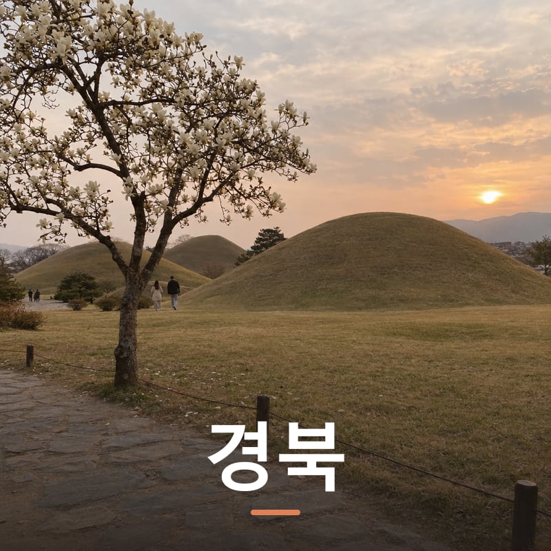 경북 구미시 체험단