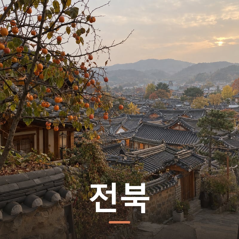 전북 군산시 체험단