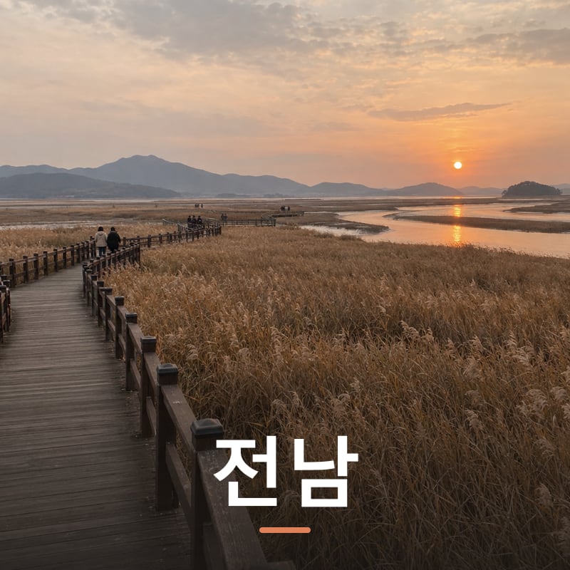 전남 체험단