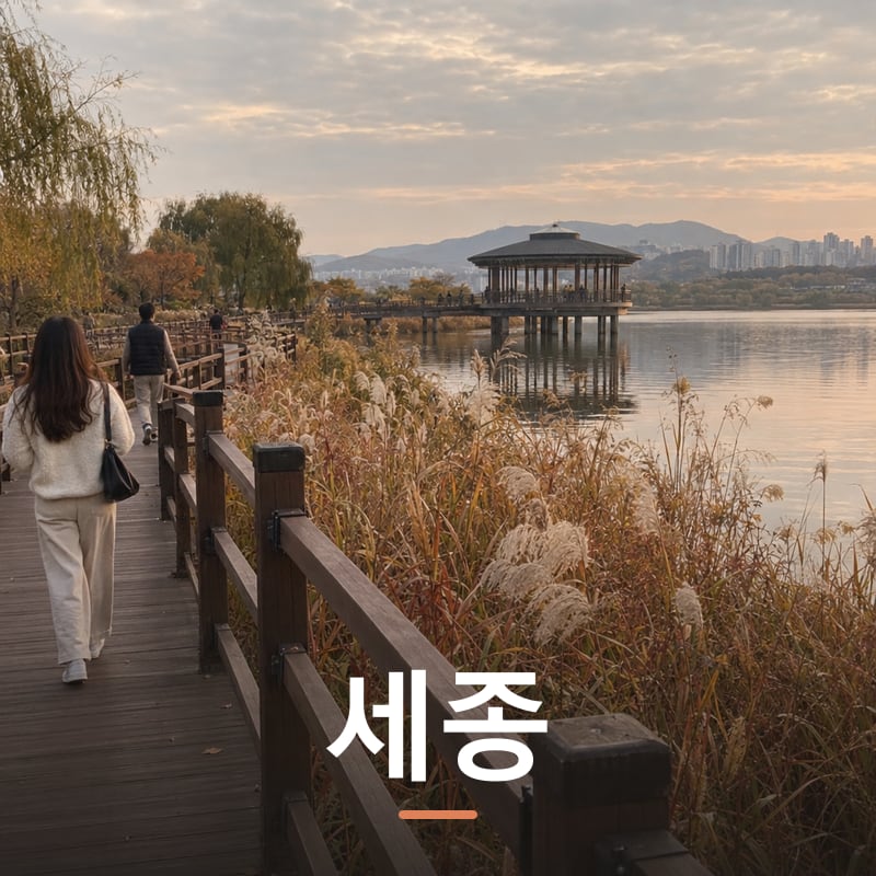 세종 체험단