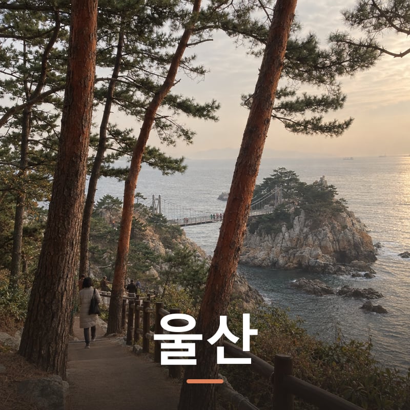 울산 체험단